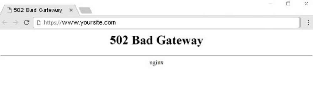 wordpress error